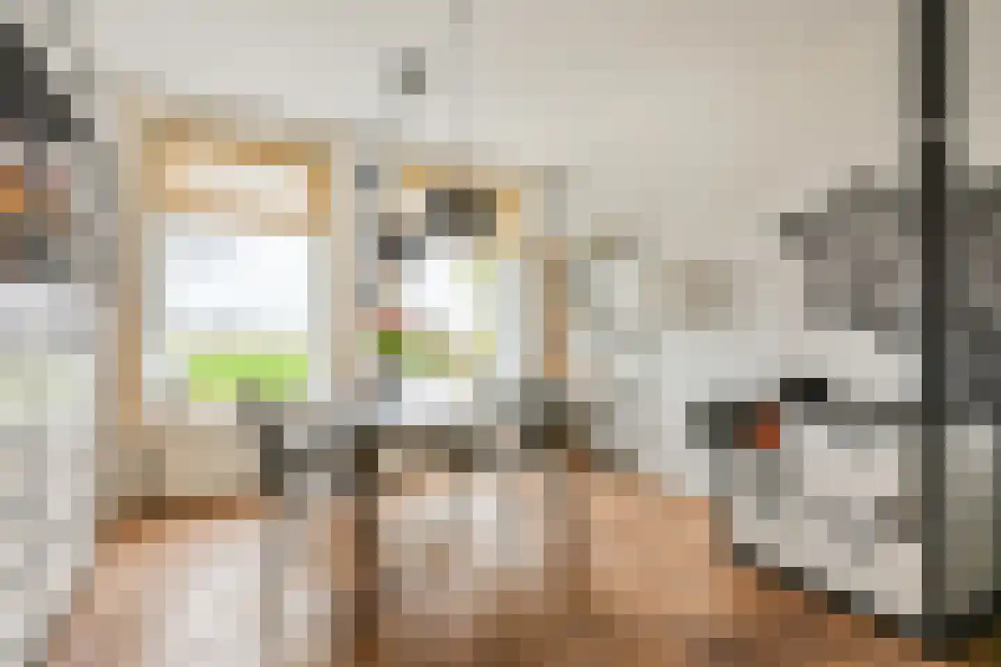 Lekdijk 12 Everdingen thumbnail 5