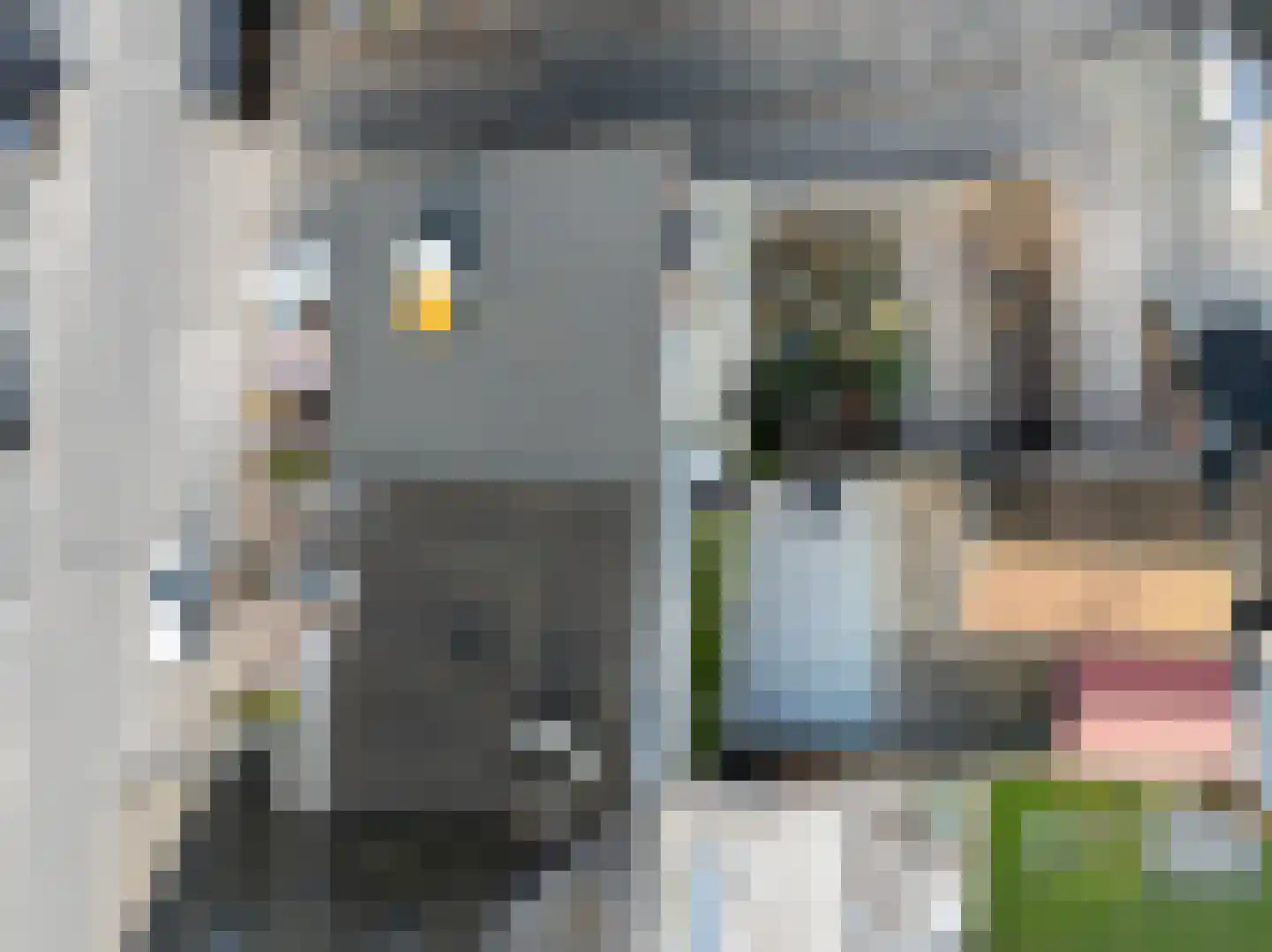 Lekdijk 121 Nieuw-Lekkerland thumbnail 32