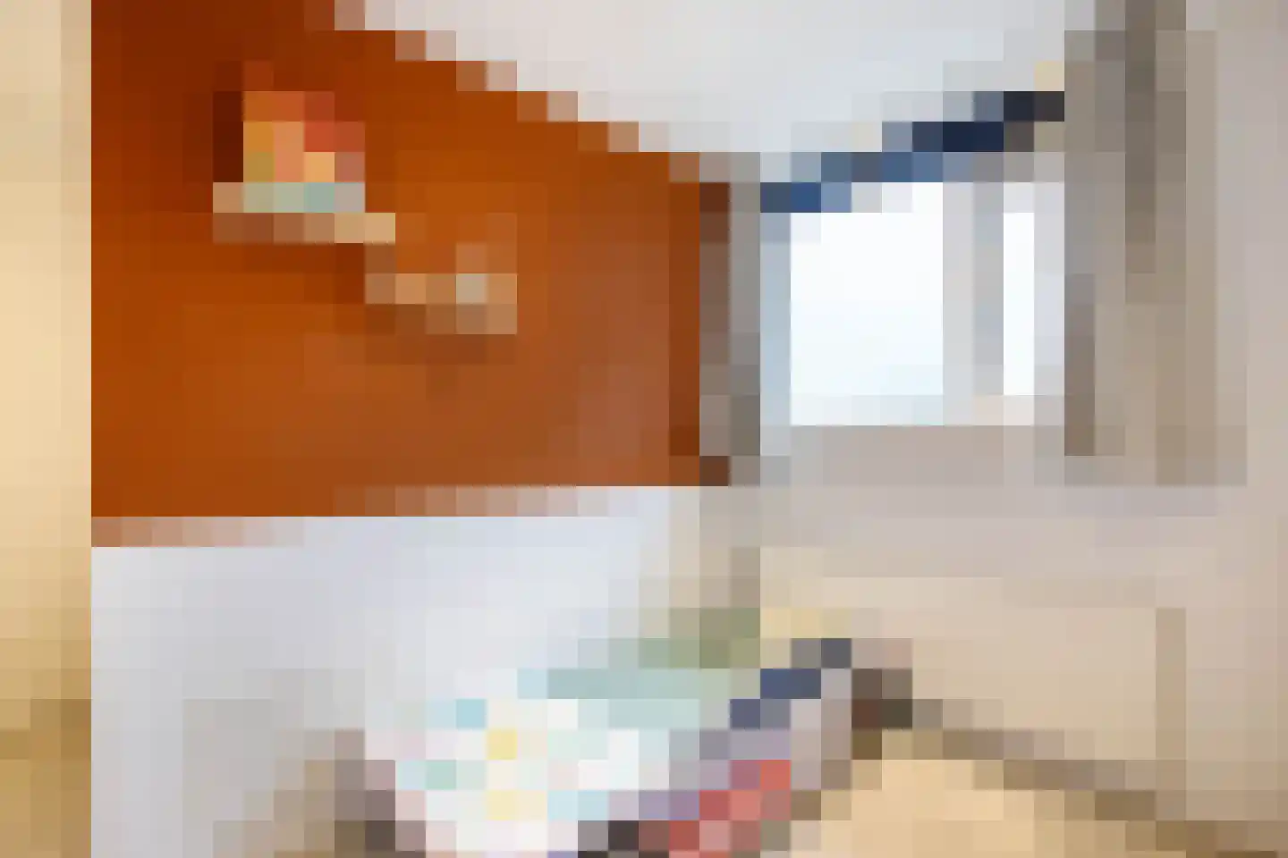 Lekdijk 13 a Ammerstol thumbnail 34