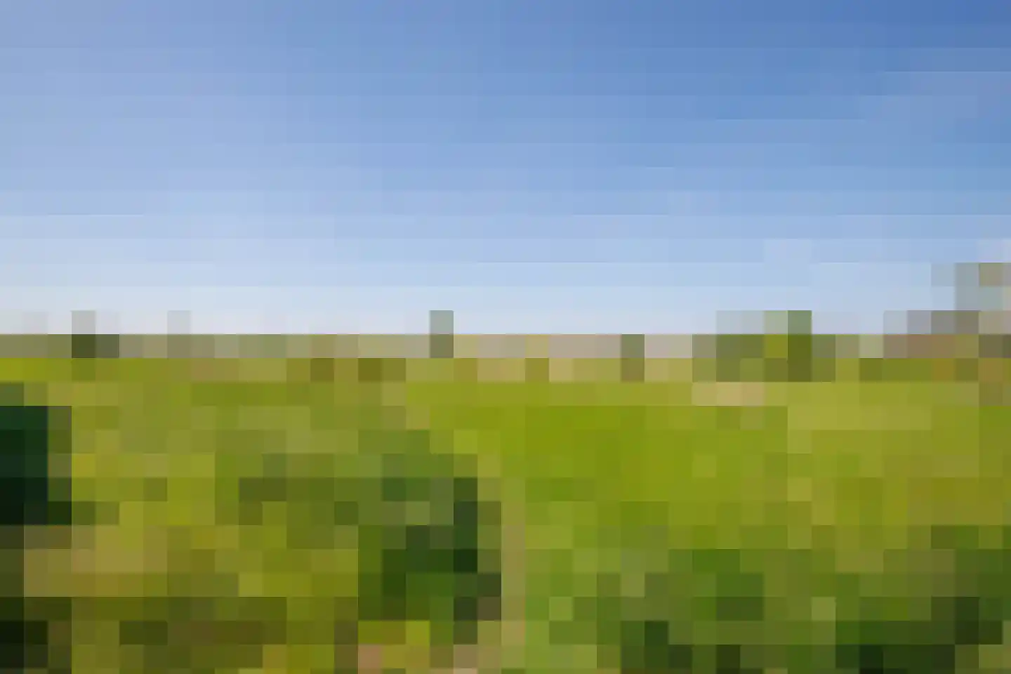 Lekdijk 13 a Ammerstol thumbnail 4