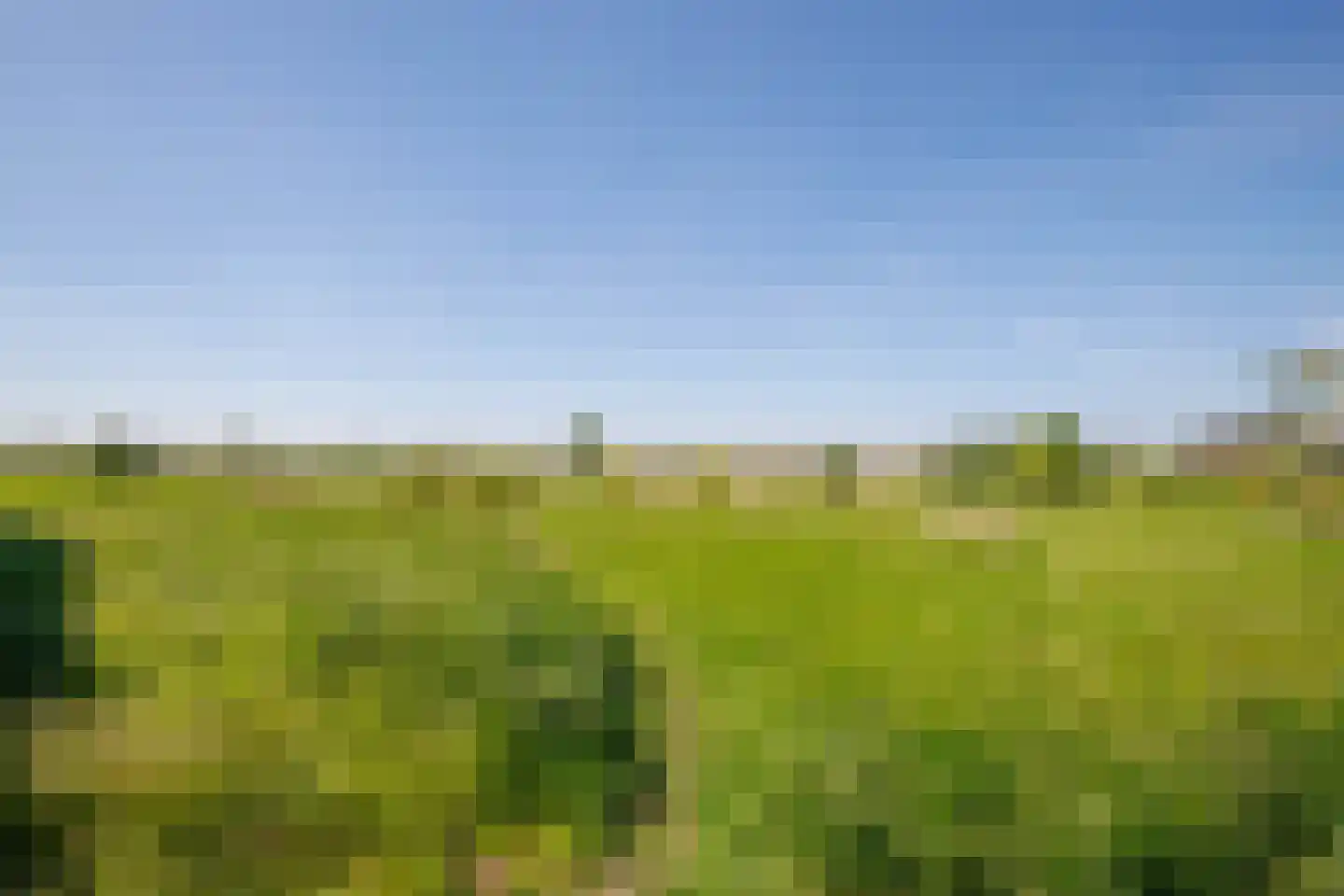 Lekdijk 13 a Ammerstol thumbnail 41