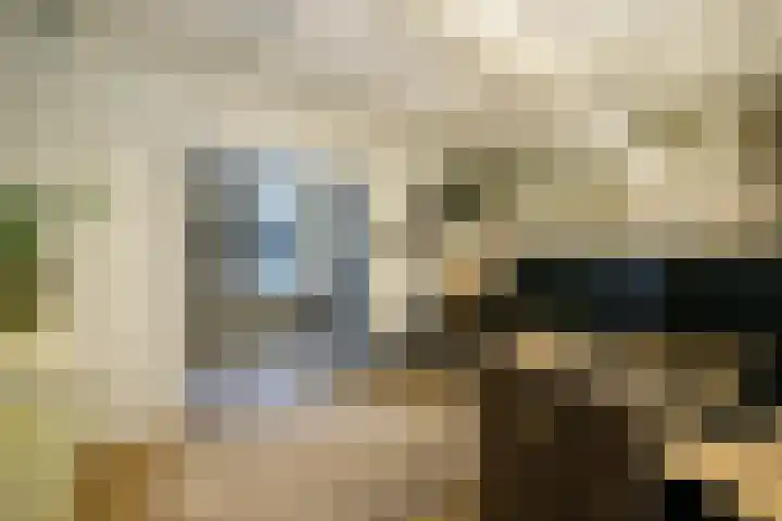 Lekdijk 140 Ammerstol thumbnail 24
