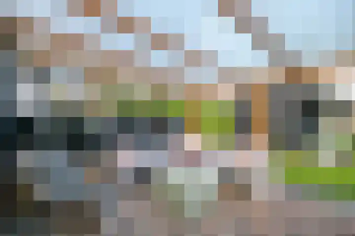 Lekdijk 140 Ammerstol thumbnail 44