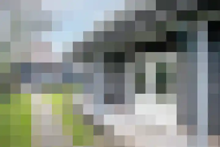 Lekdijk 140 Ammerstol thumbnail 46