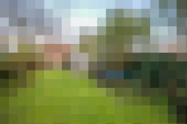 Lekdijk 140 Ammerstol thumbnail 49