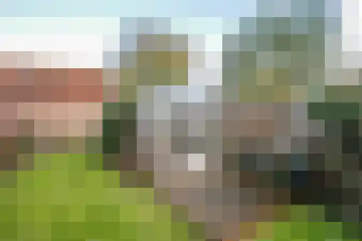 Lekdijk 140 Ammerstol thumbnail 50