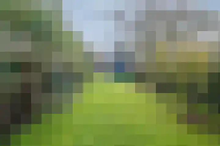 Lekdijk 140 Ammerstol thumbnail 51
