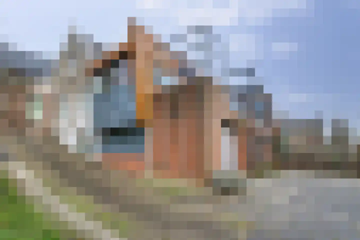 Lekdijk 153 Nieuw-Lekkerland thumbnail 59