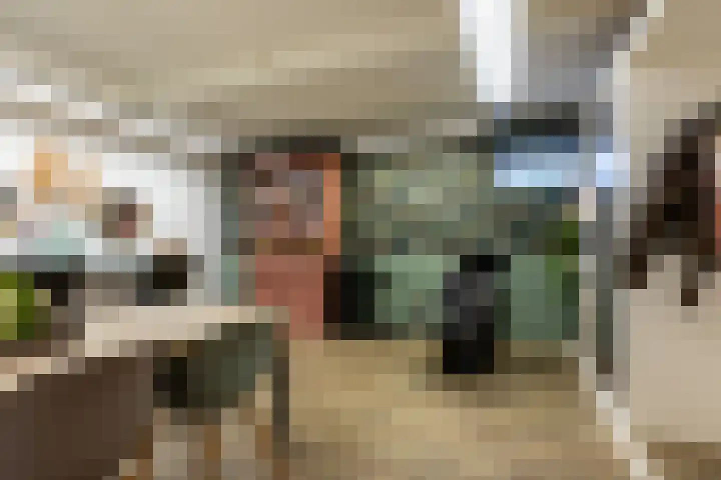 Lekdijk 156 Ammerstol thumbnail 43