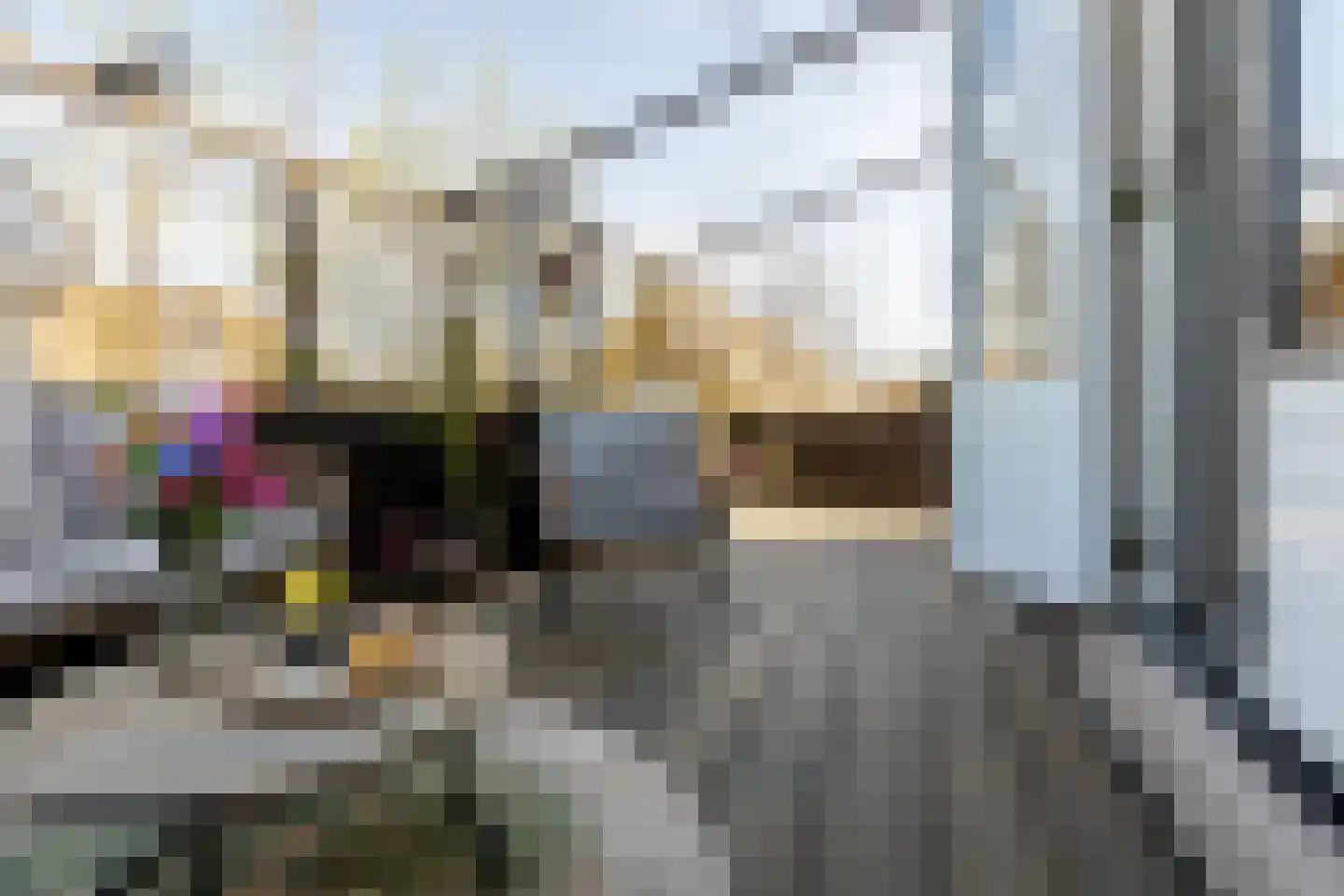 Lekdijk 156 Ammerstol thumbnail 5