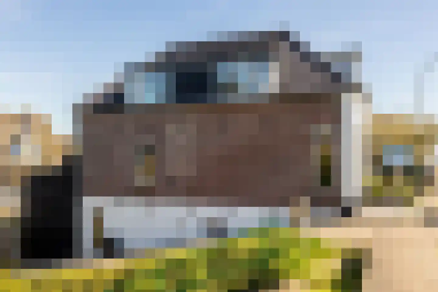 Lekdijk 156 Ammerstol thumbnail 6