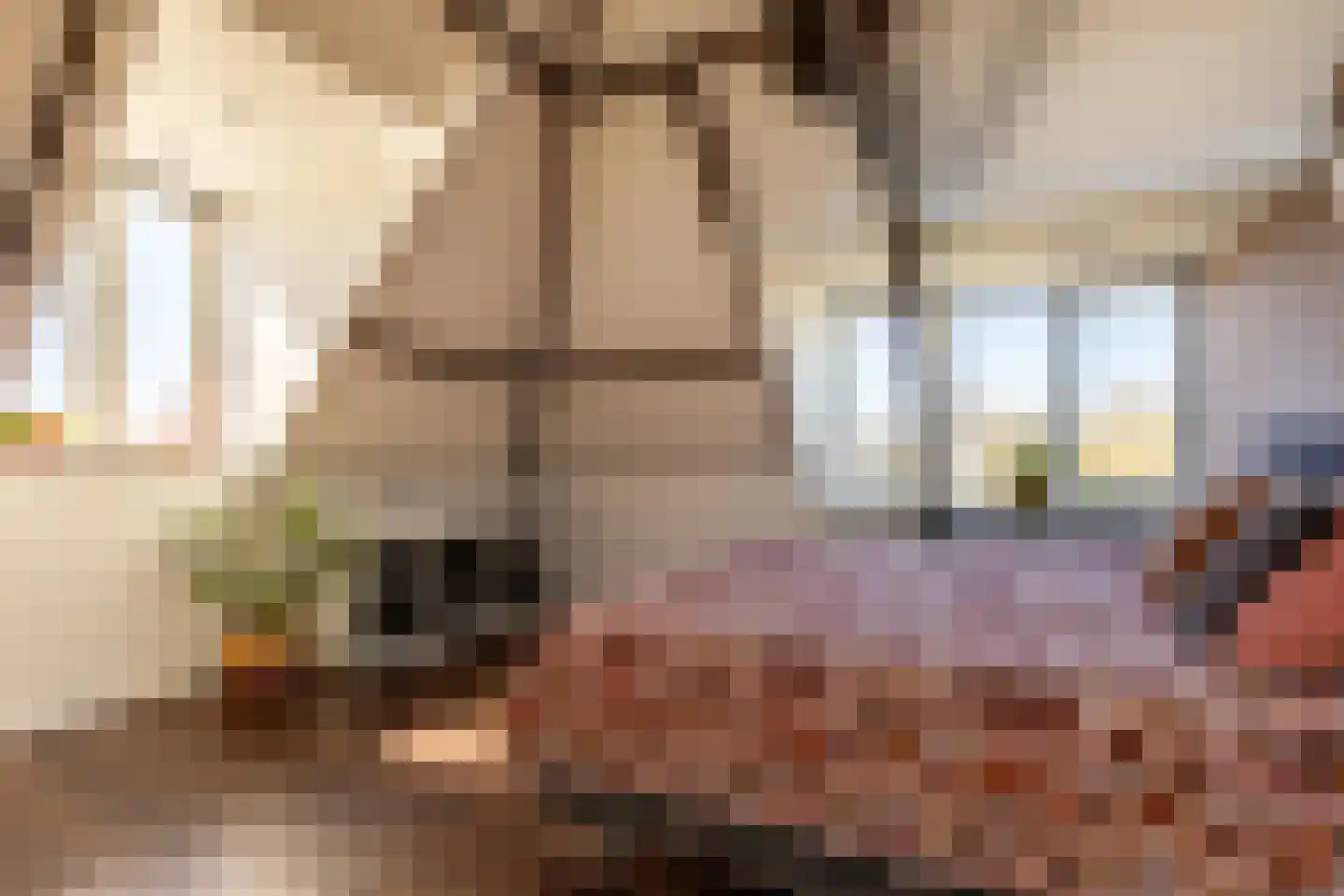 Lekdijk 156 Ammerstol thumbnail 64