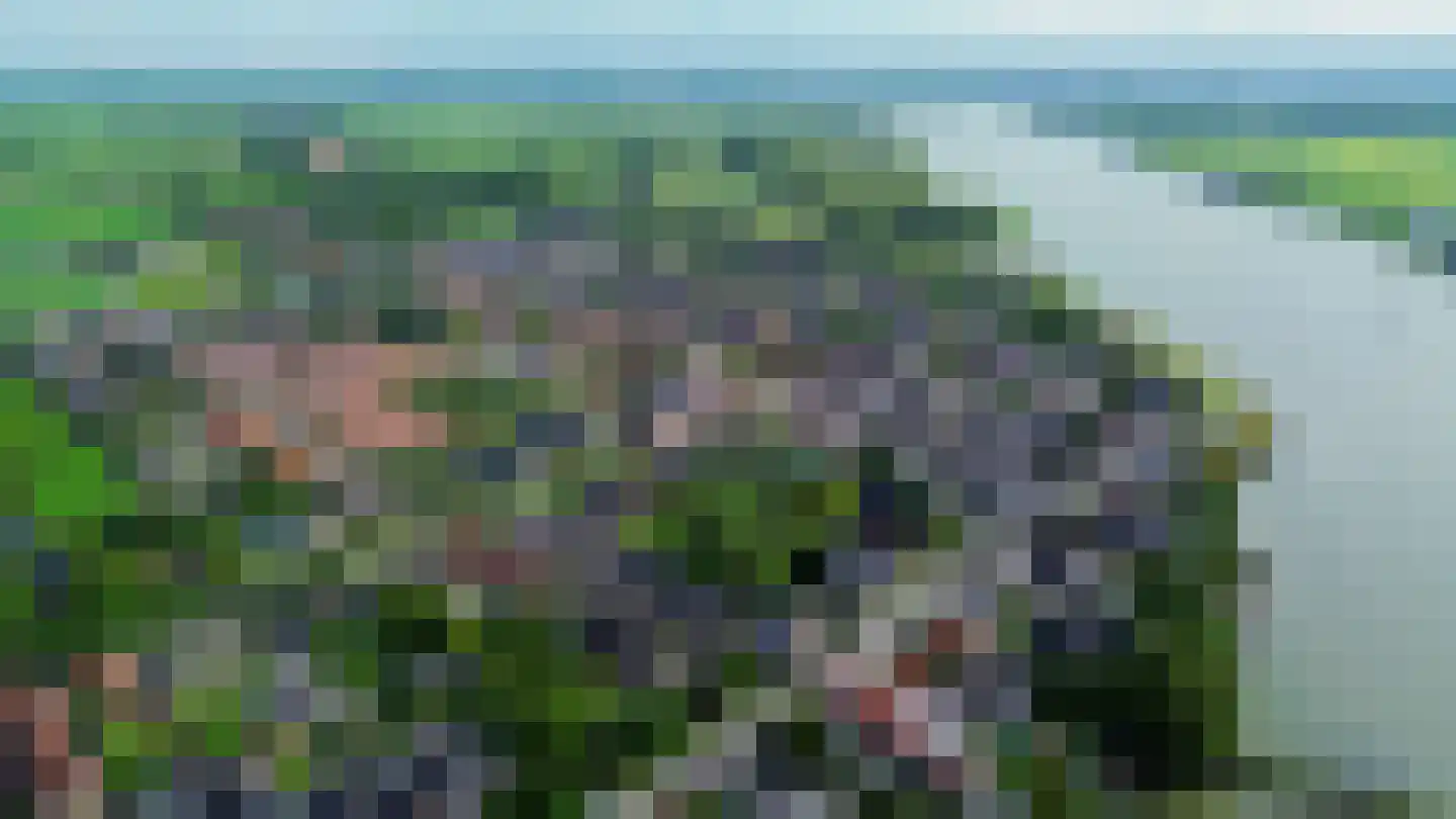 Lekdijk 156 Ammerstol thumbnail 66