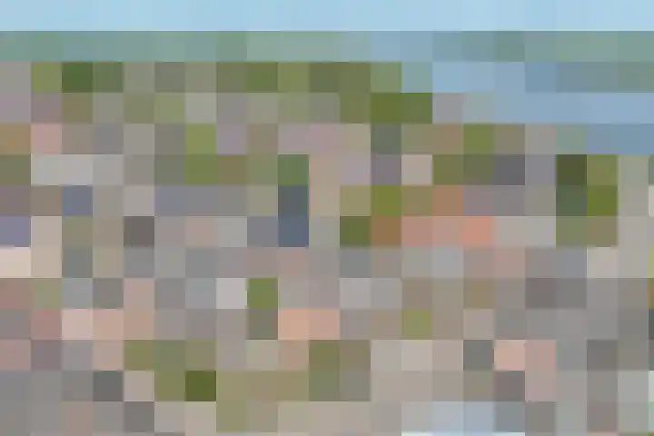 Lekdijk 158 Ammerstol thumbnail 22