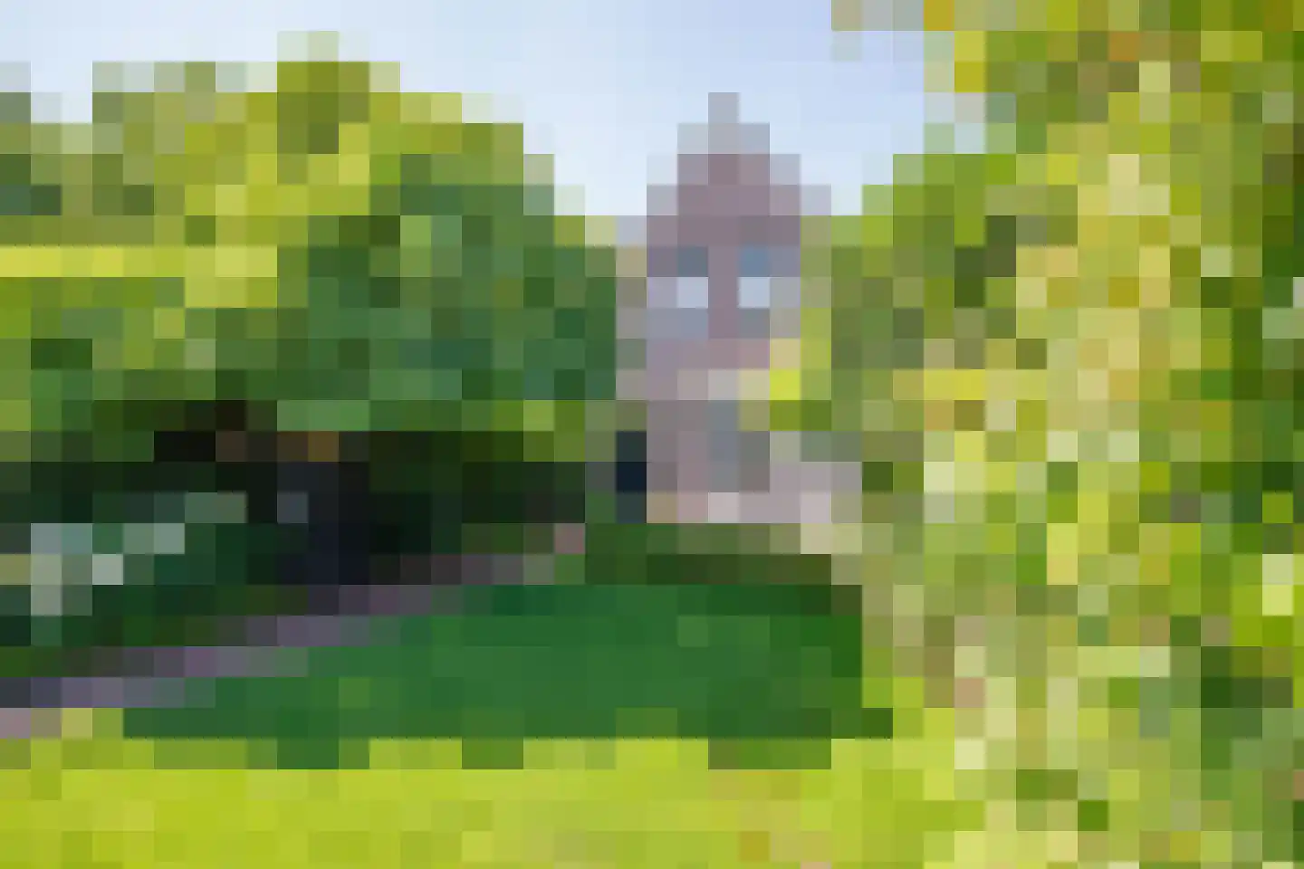 Lekdijk 178 Ammerstol thumbnail 32