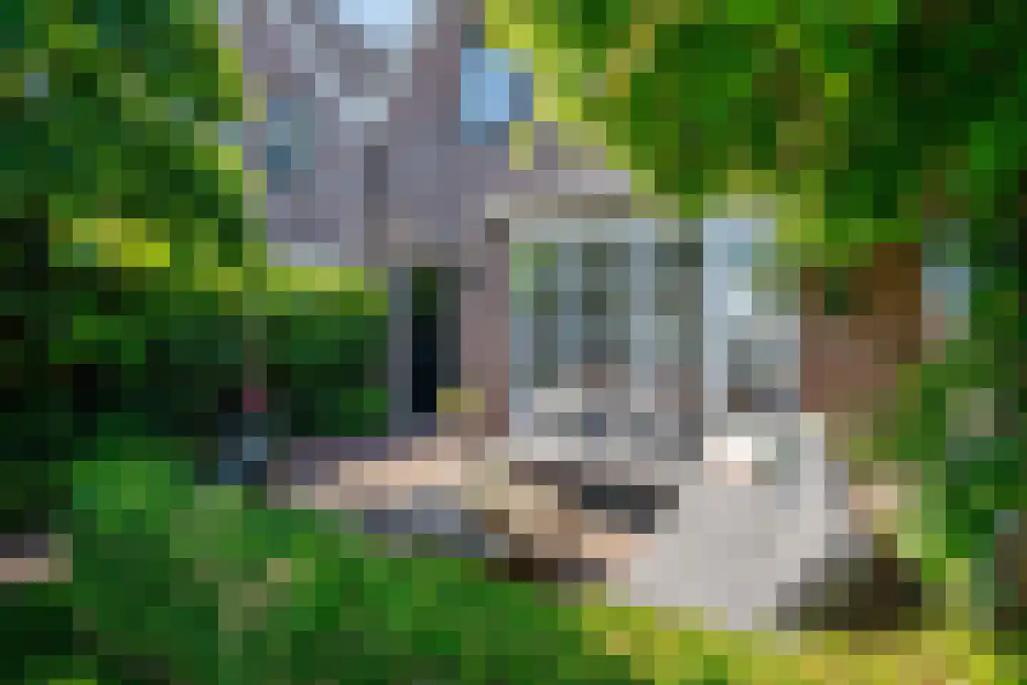 Lekdijk 178 Ammerstol thumbnail 33