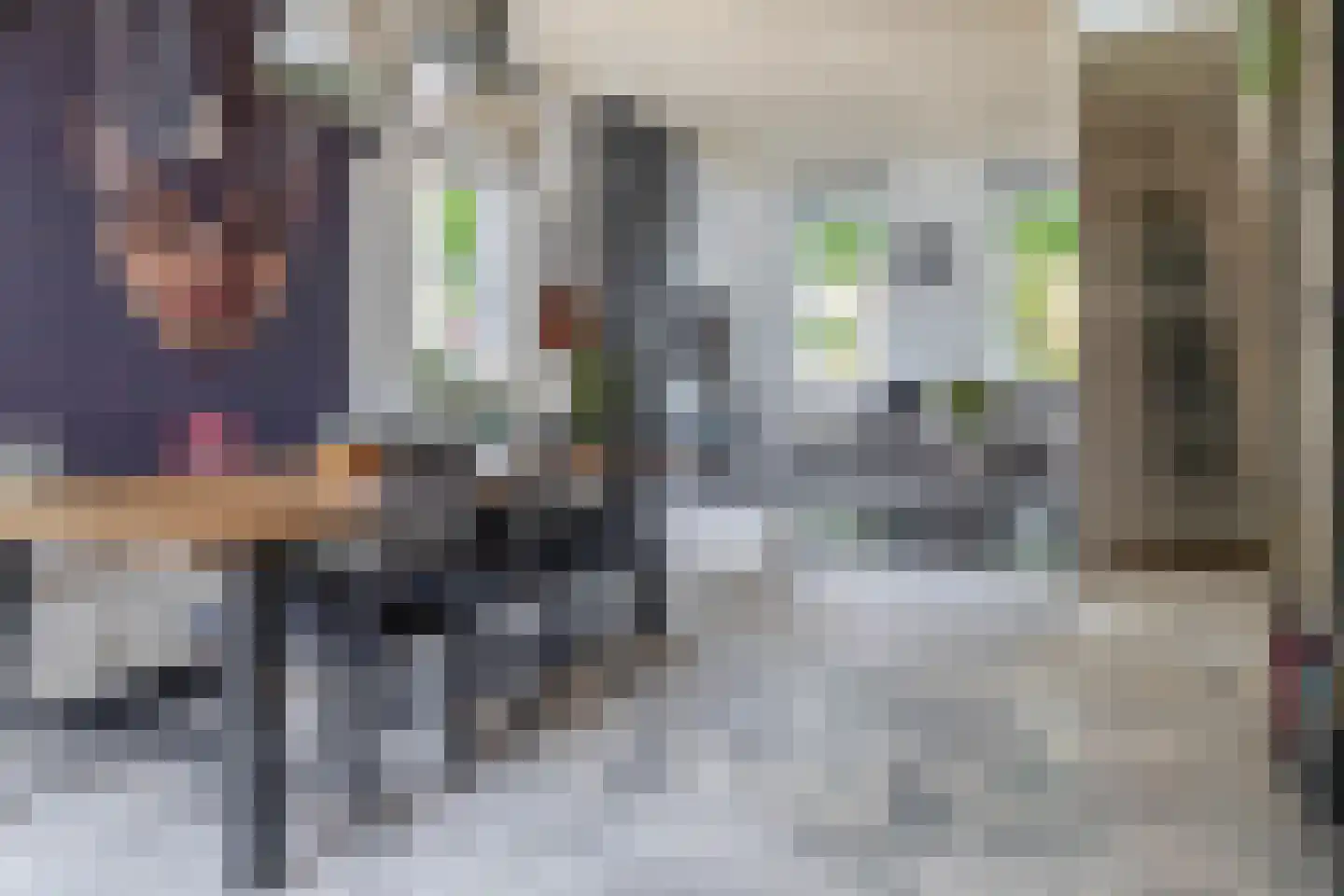 Lekdijk 202 Krimpen aan den IJssel thumbnail 16