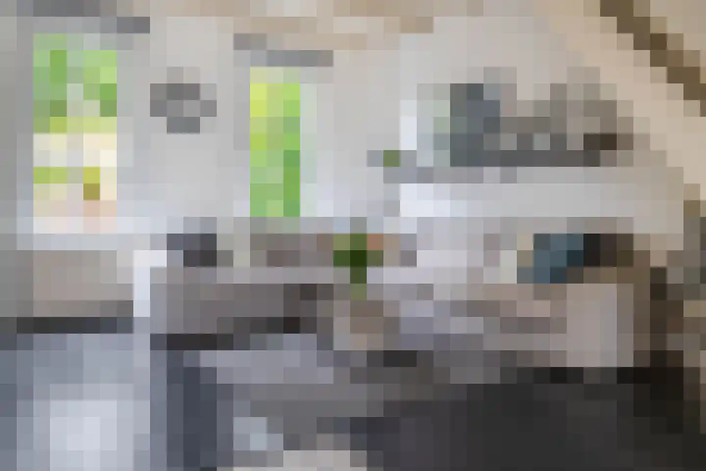 Lekdijk 202 Krimpen aan den IJssel thumbnail 20