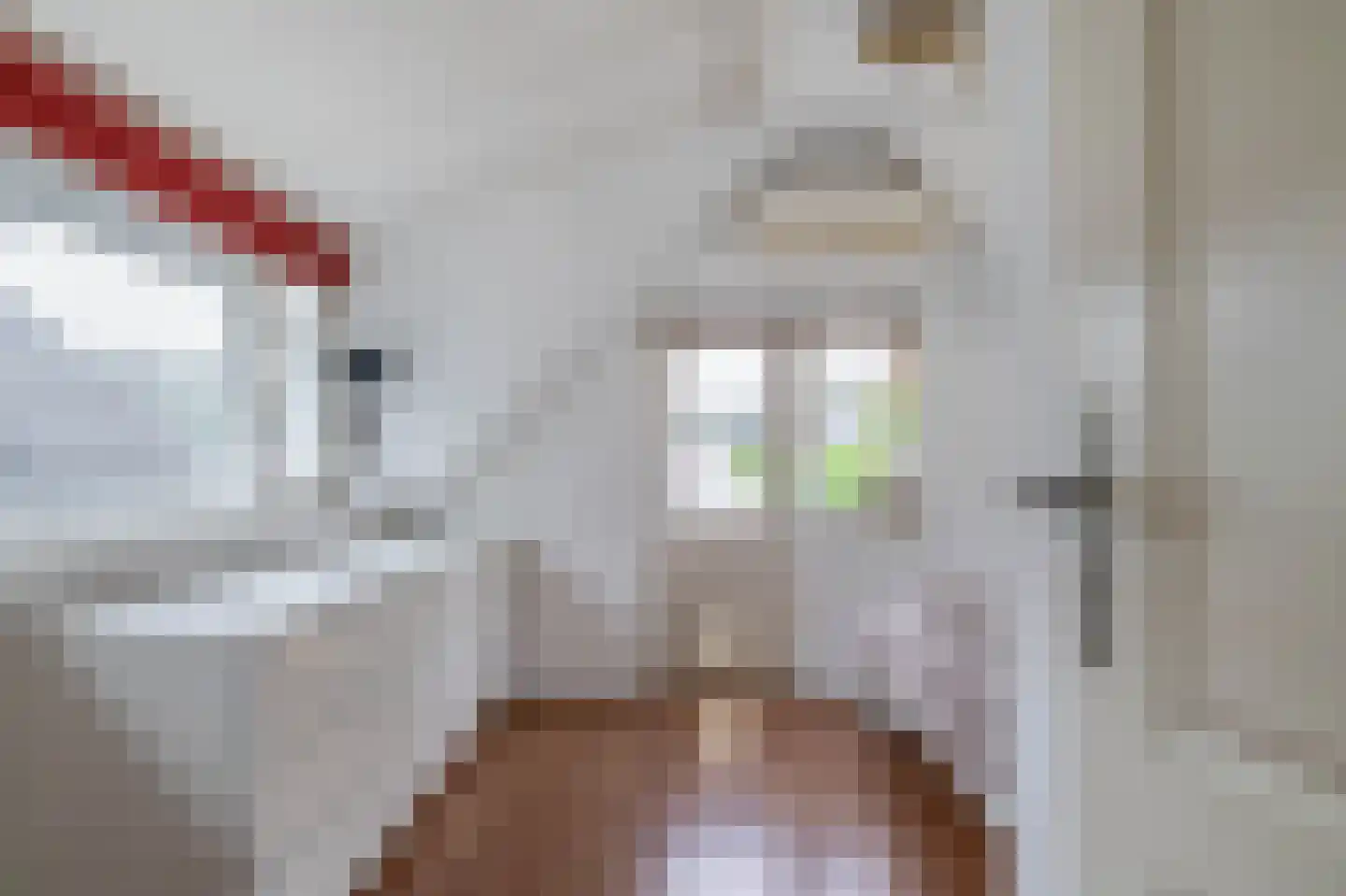 Lekdijk 202 Krimpen aan den IJssel thumbnail 32