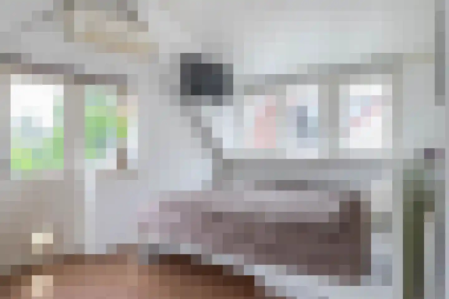 Lekdijk 202 Krimpen aan den IJssel thumbnail 33