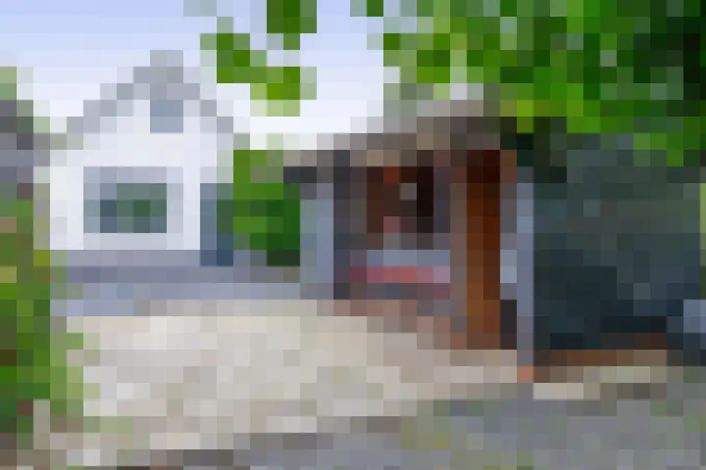 Lekdijk 202 Krimpen aan den IJssel thumbnail 42