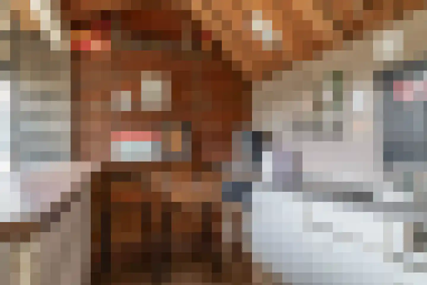 Lekdijk 202 Krimpen aan den IJssel thumbnail 45
