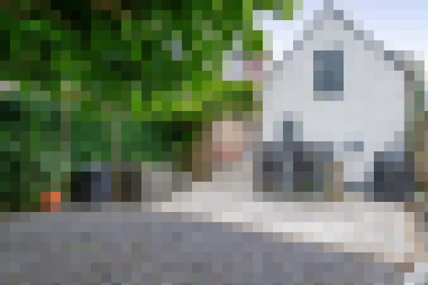 Lekdijk 202 Krimpen aan den IJssel thumbnail 49