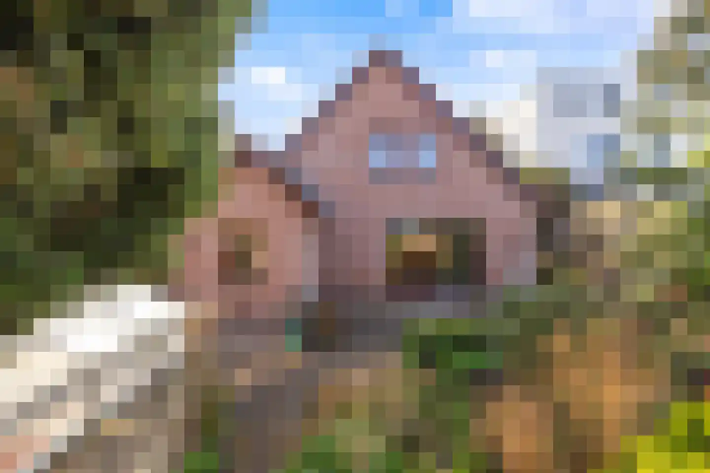 Lekdijk 22 Krimpen aan den IJssel foto 2