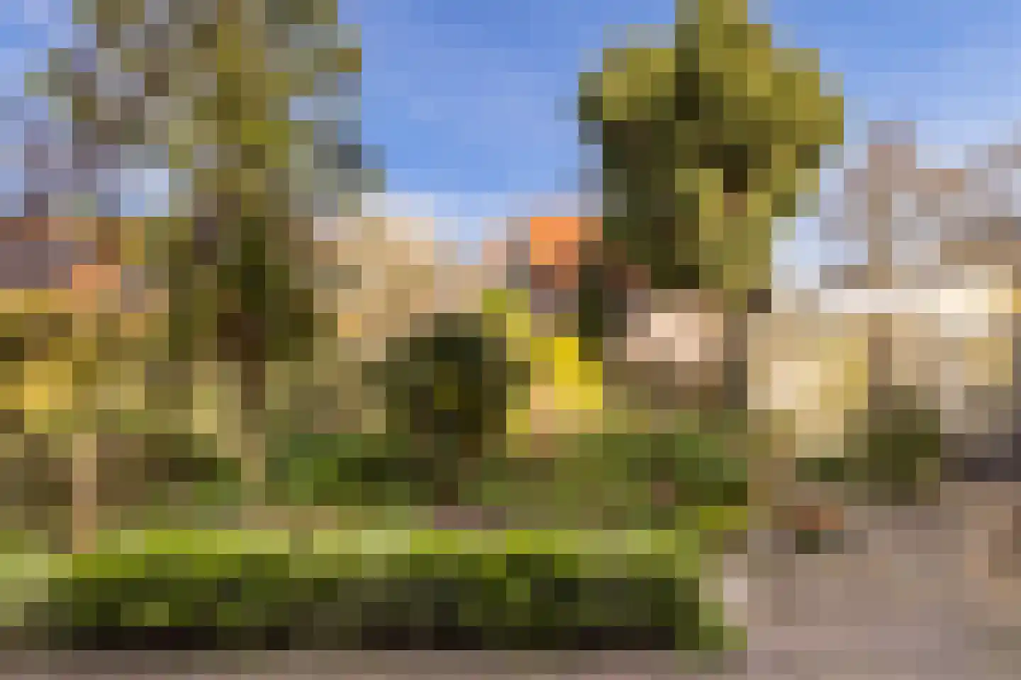 Lekdijk 22 Krimpen aan den IJssel foto 3