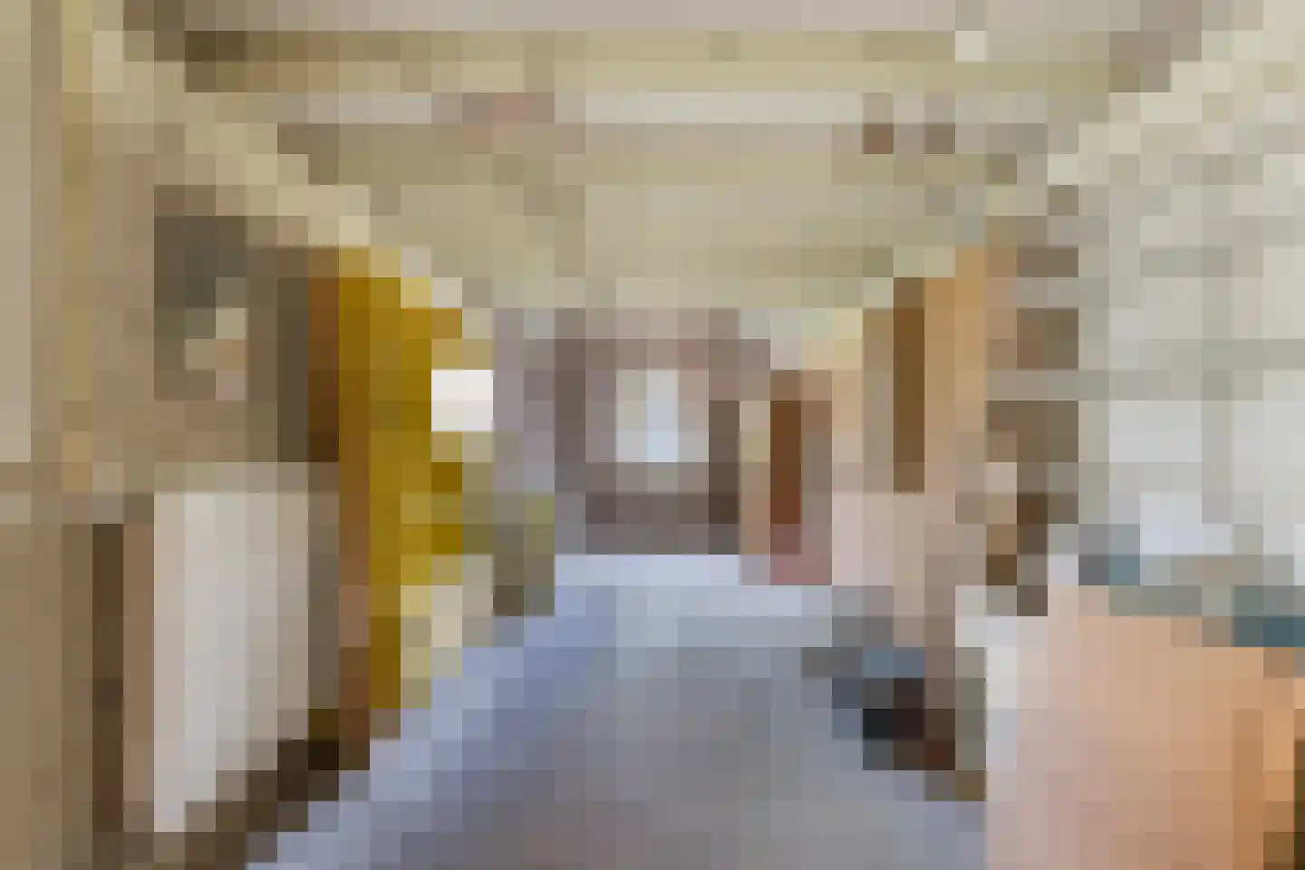 Lekdijk 22 Krimpen aan den IJssel thumbnail 30