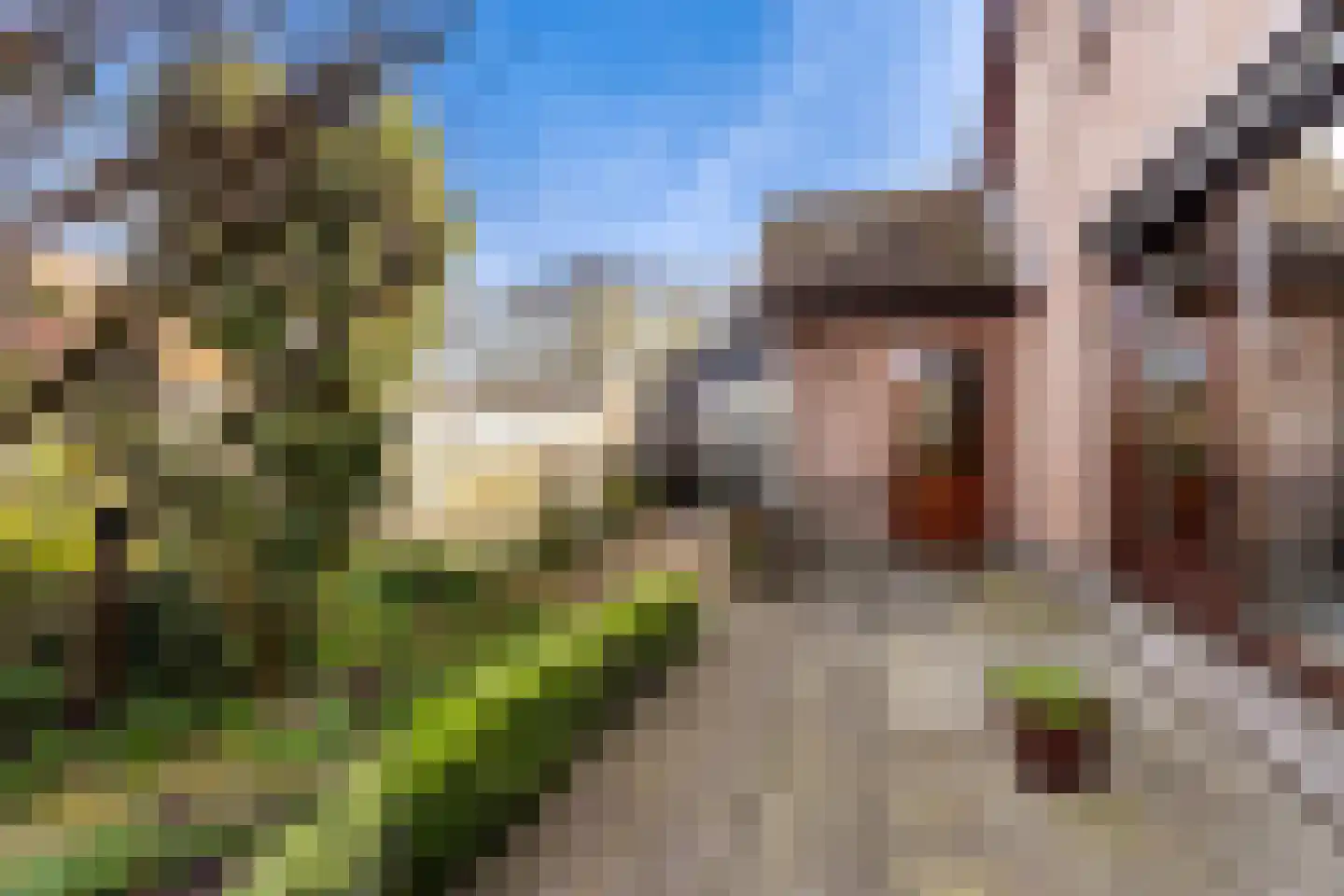 Lekdijk 22 Krimpen aan den IJssel thumbnail 32