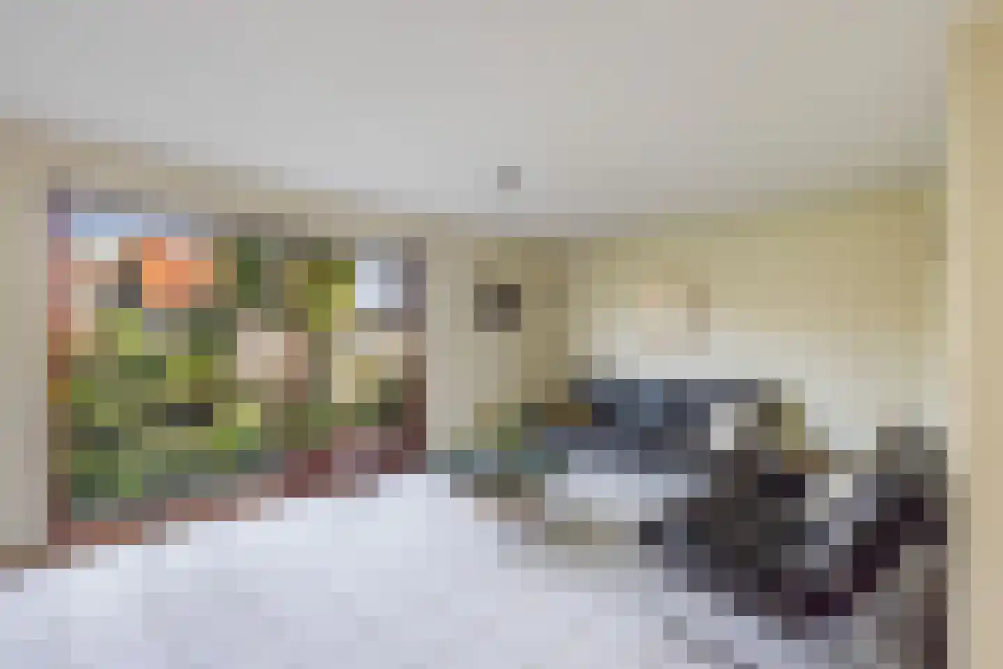 Lekdijk 22 Krimpen aan den IJssel thumbnail 7