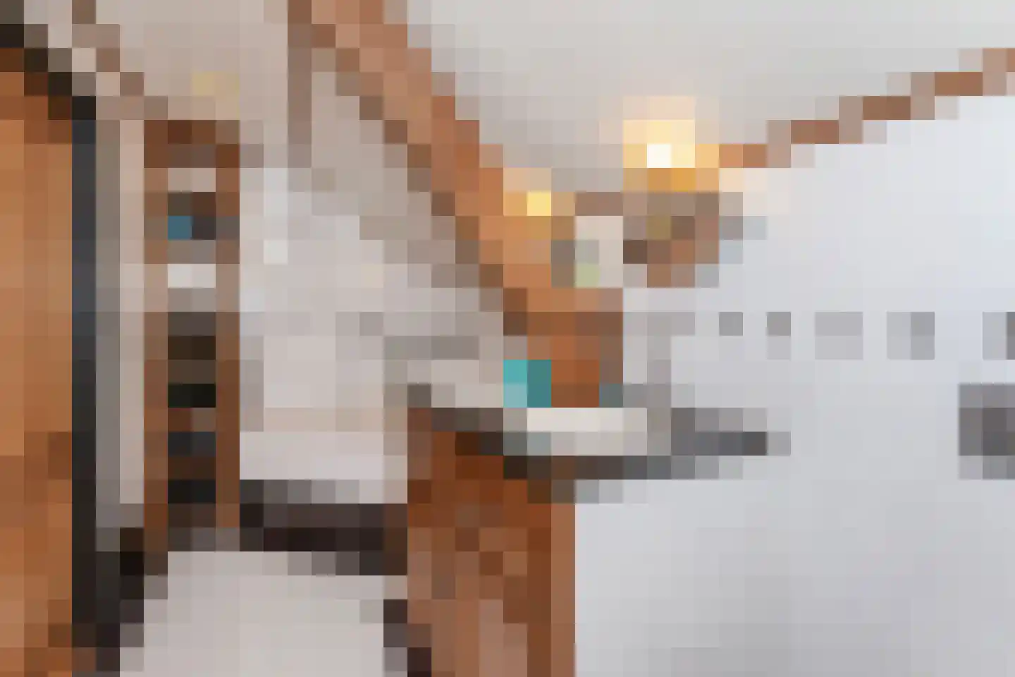 Lekdijk 234 Nieuw-Lekkerland thumbnail 35