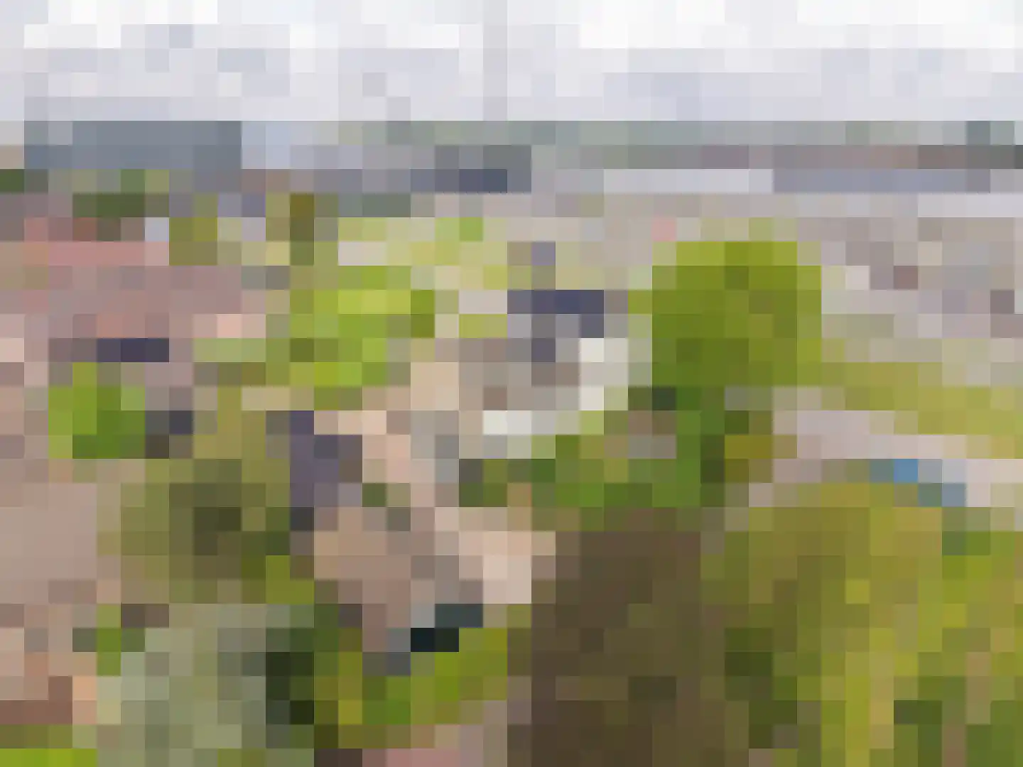 Lekdijk 234 Nieuw-Lekkerland thumbnail 37