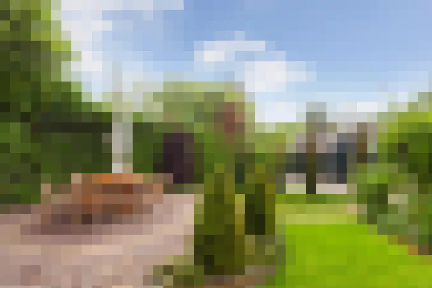 Lekdijk 234 Nieuw-Lekkerland thumbnail 38