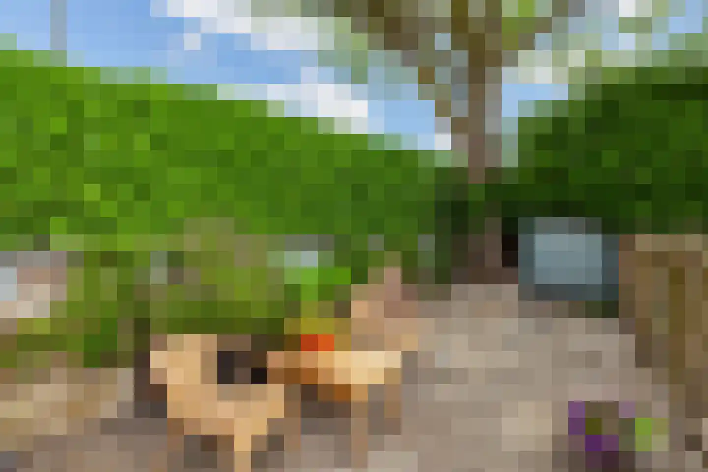 Lekdijk 234 Nieuw-Lekkerland thumbnail 41
