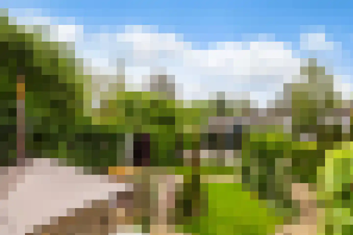 Lekdijk 234 Nieuw-Lekkerland thumbnail 43