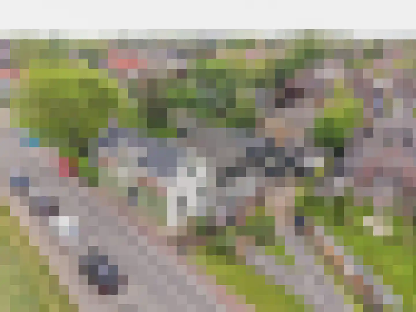 Lekdijk 234 Nieuw-Lekkerland thumbnail 50