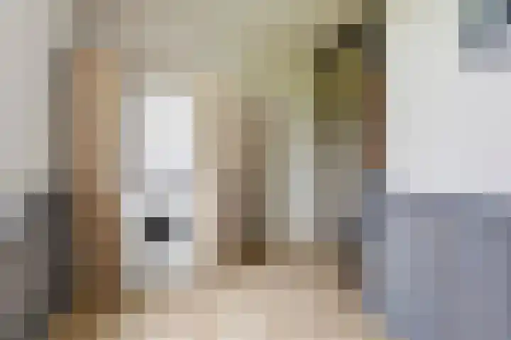 Lekdijk 3 Langerak thumbnail 16