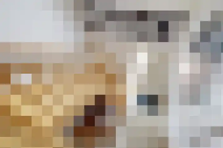 Lekdijk 3 Langerak thumbnail 21