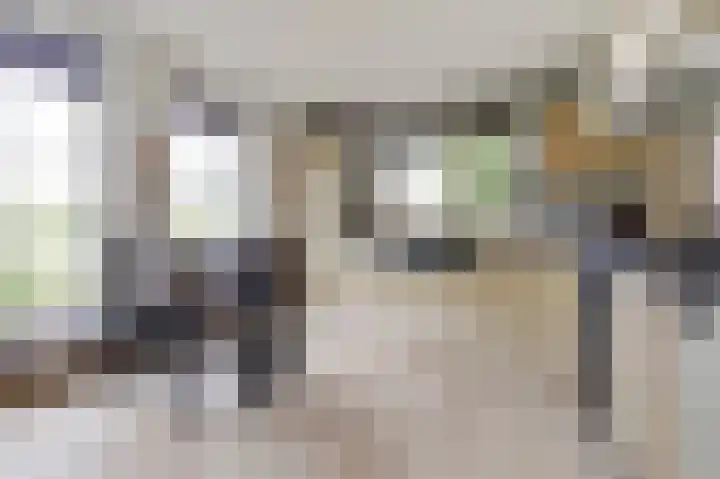 Lekdijk 3 Langerak thumbnail 4