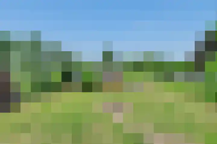Lekdijk 3 Langerak thumbnail 42