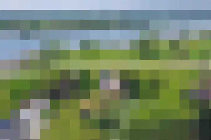 Lekdijk 3 Langerak thumbnail 49