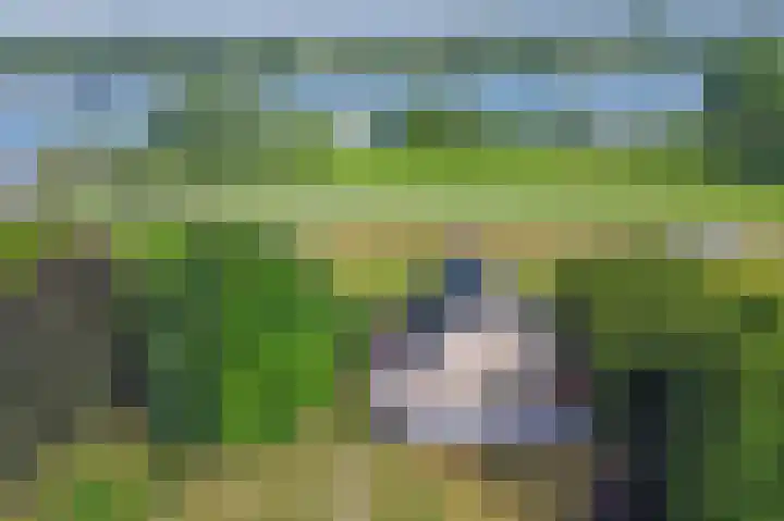 Lekdijk 3 Langerak thumbnail 61