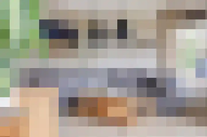Lekdijk 3 Langerak thumbnail 7