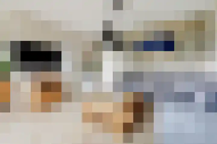 Lekdijk 3 Langerak thumbnail 8