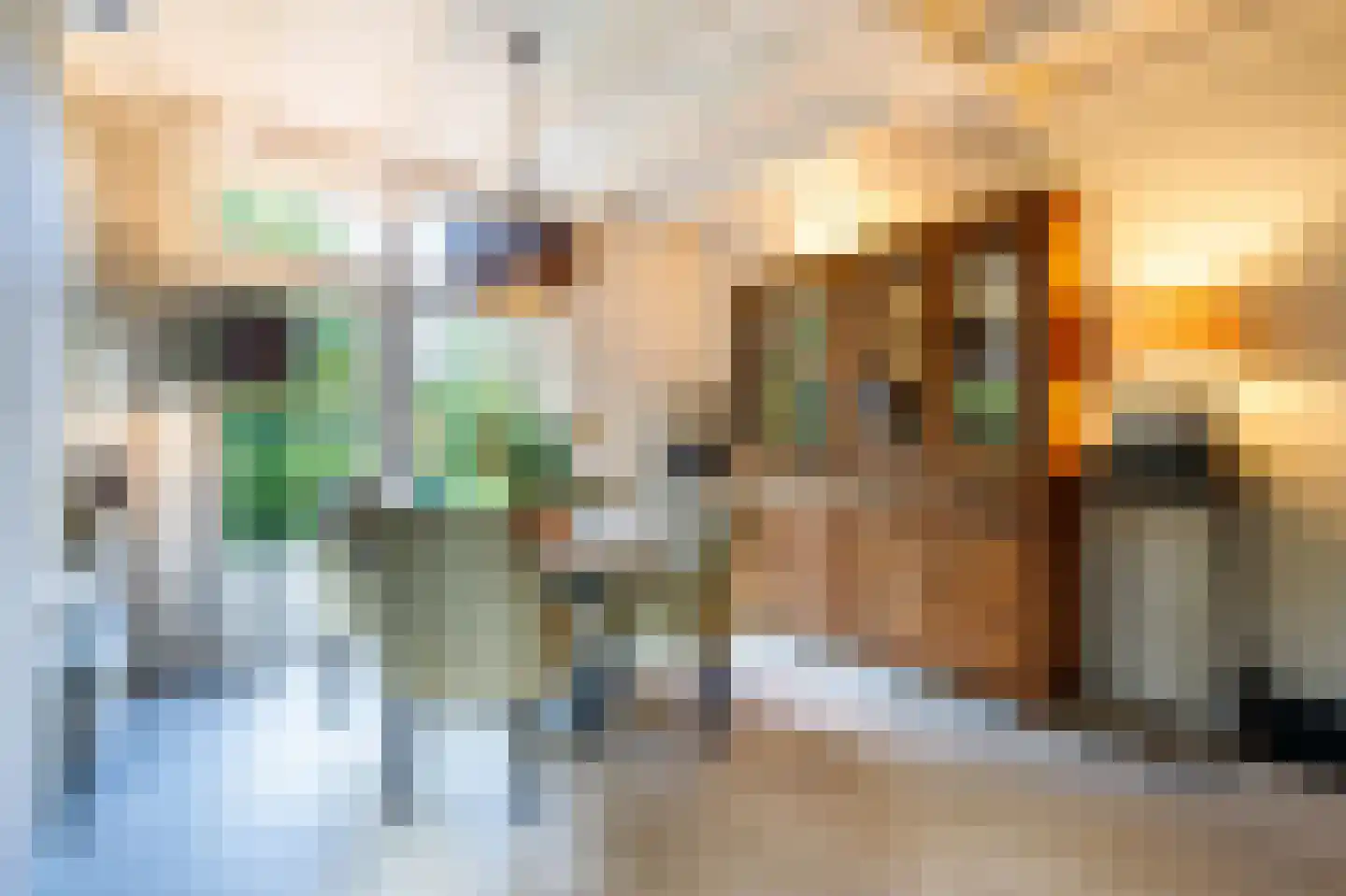 Lekdijk 32 Ammerstol thumbnail 13