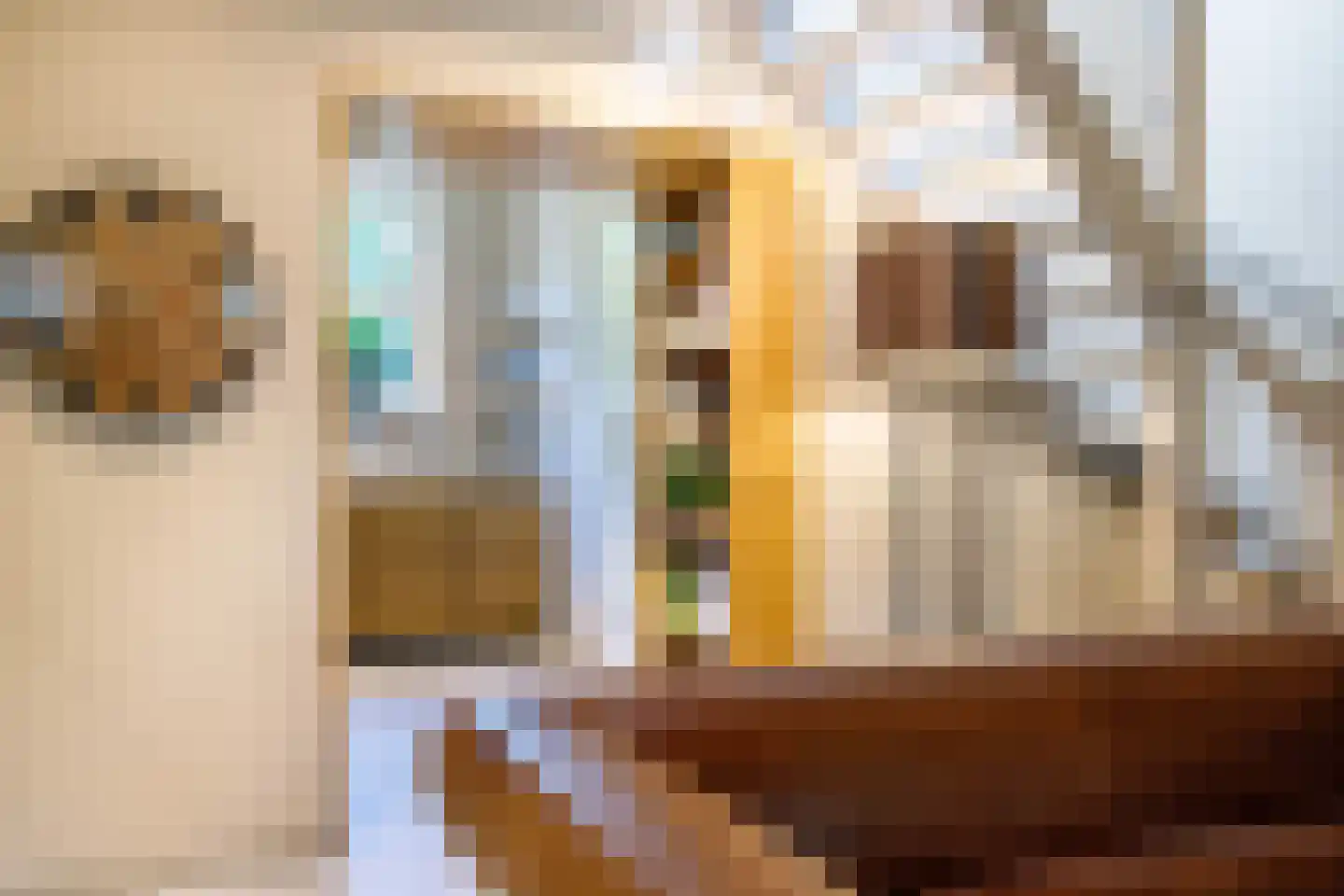 Lekdijk 32 Ammerstol thumbnail 16
