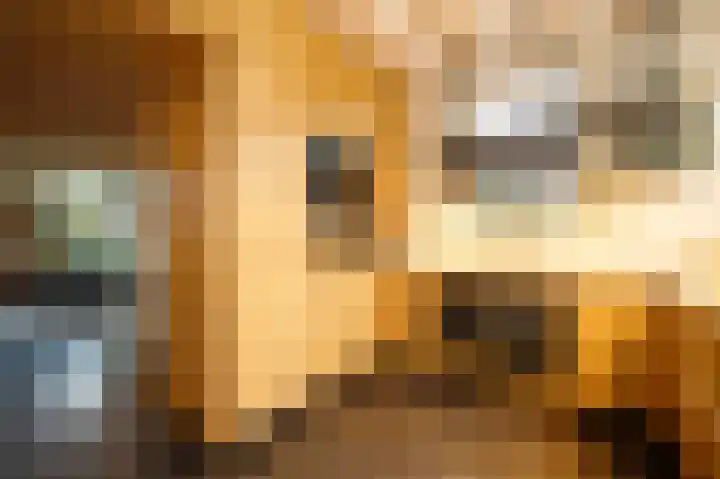 Lekdijk 32 Ammerstol thumbnail 17