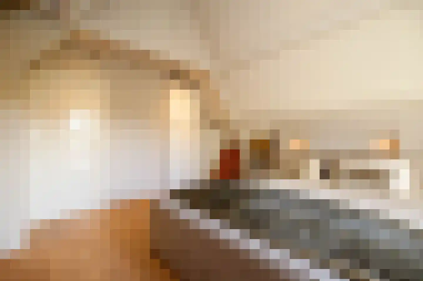 Lekdijk 32 Ammerstol thumbnail 22